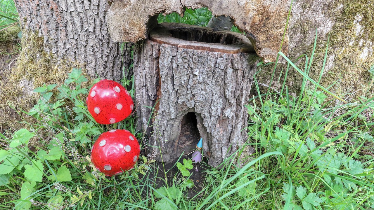 Photo of Others in Millhouse Green