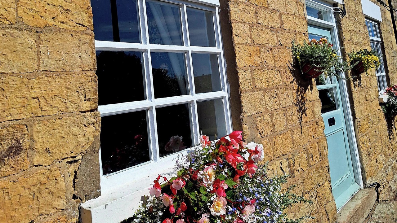 Photo of Outdoor in Allerston