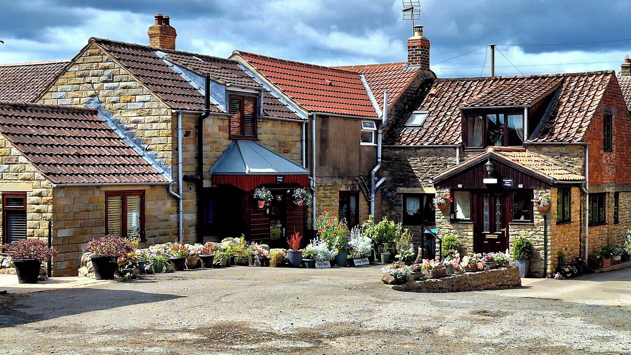 Photo of Outdoor in Allerston