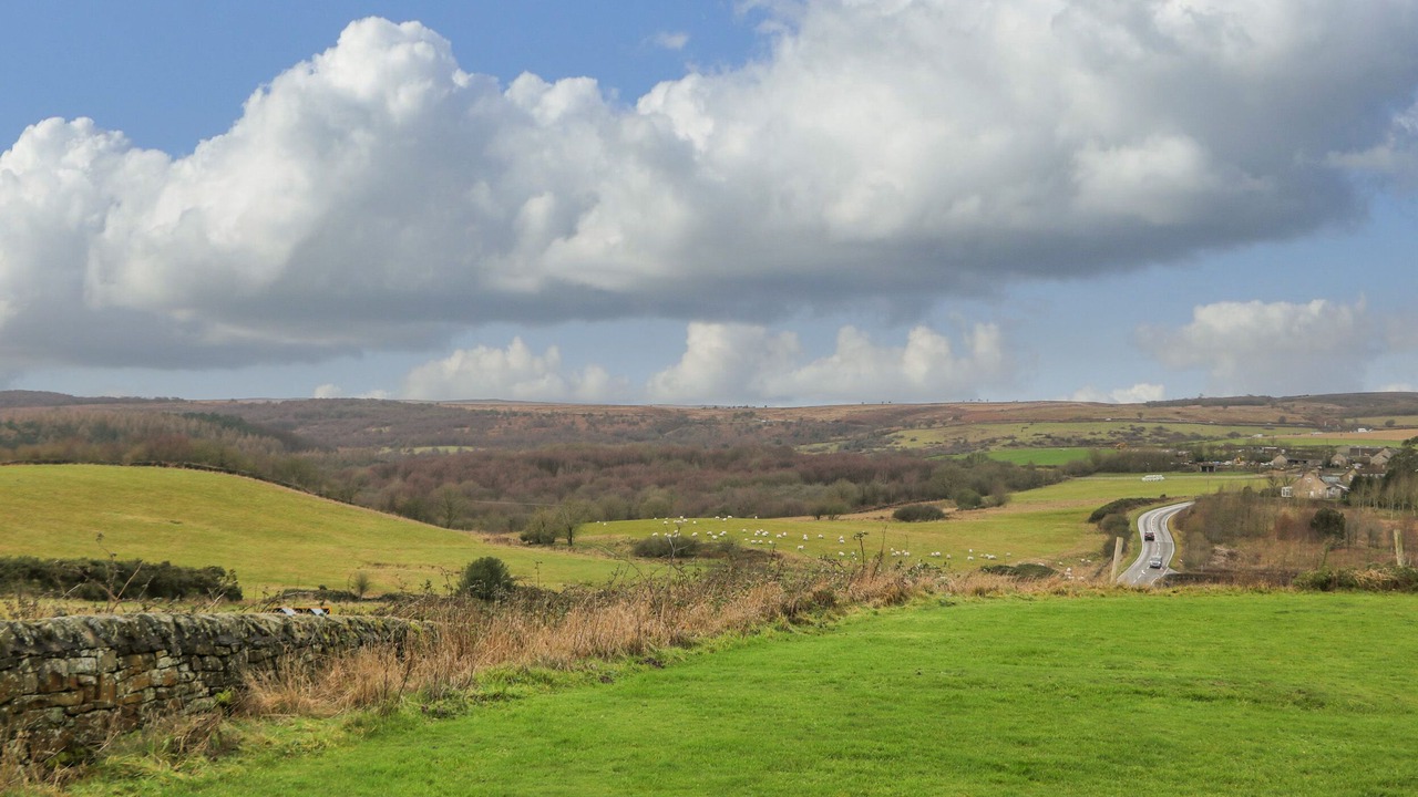 Photo of Others in Totley