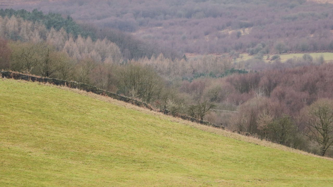 Photo of Others in Totley