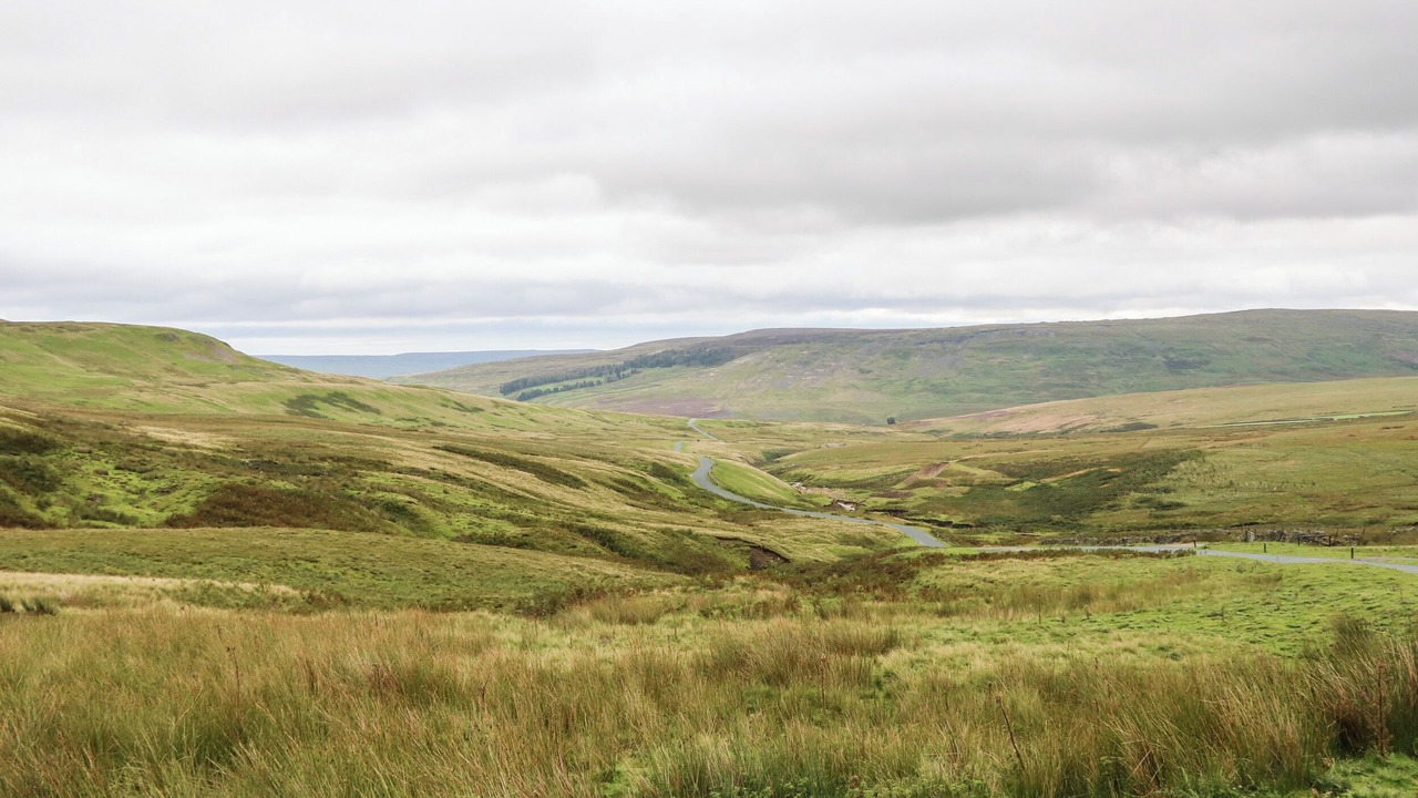 Photo of Others in Feetham