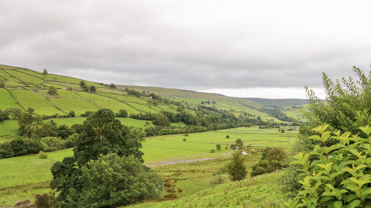 Photo of Others in Feetham