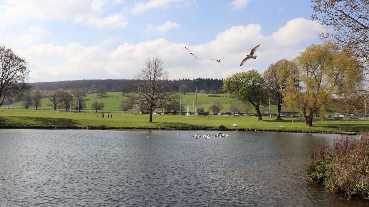 Photo of Others in Ruthin