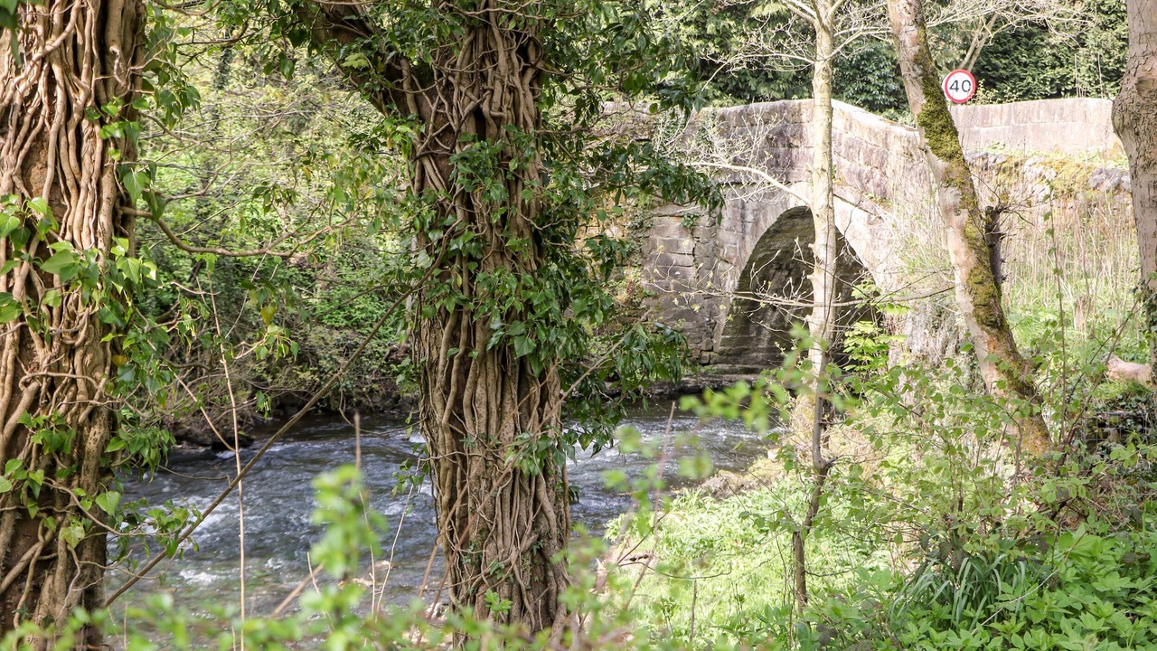 Photo of Others in Hope Valley