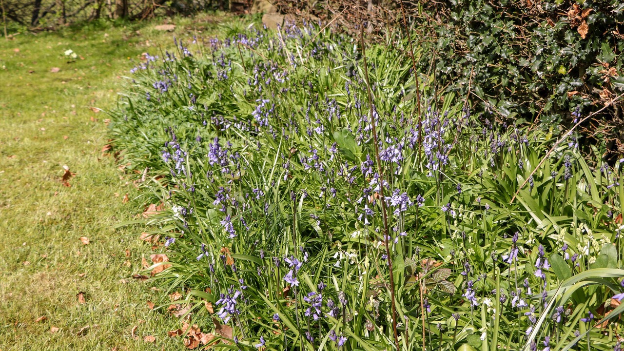 Photo of Others in Hope Valley