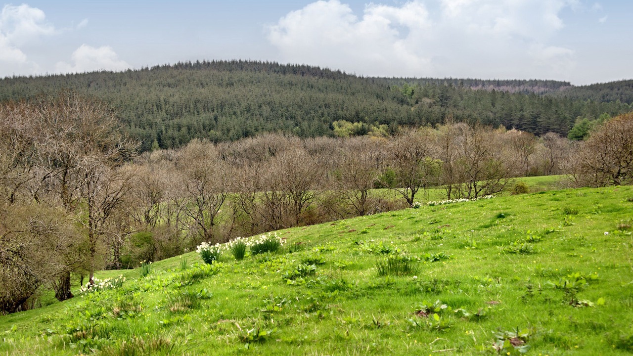 Photo of Others in Westbrook Court