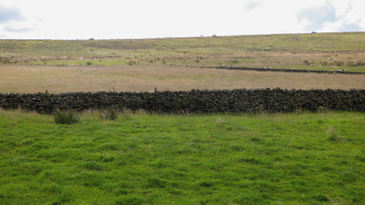 Photo of Others in Hollinsclough