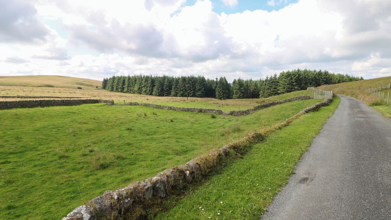 Photo of Others in Hollinsclough