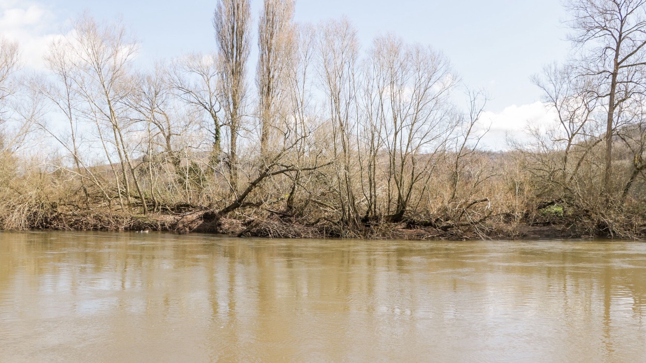 Photo of Others in Symonds Yat