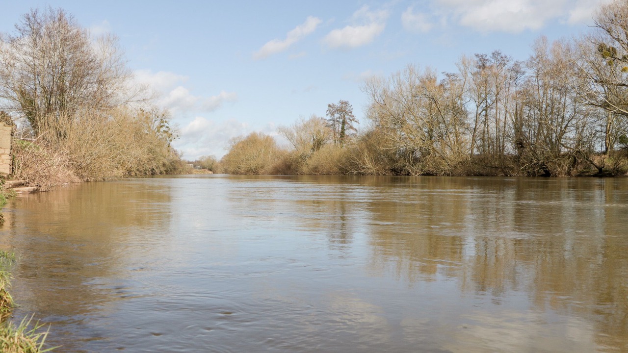 Photo of Others in Symonds Yat