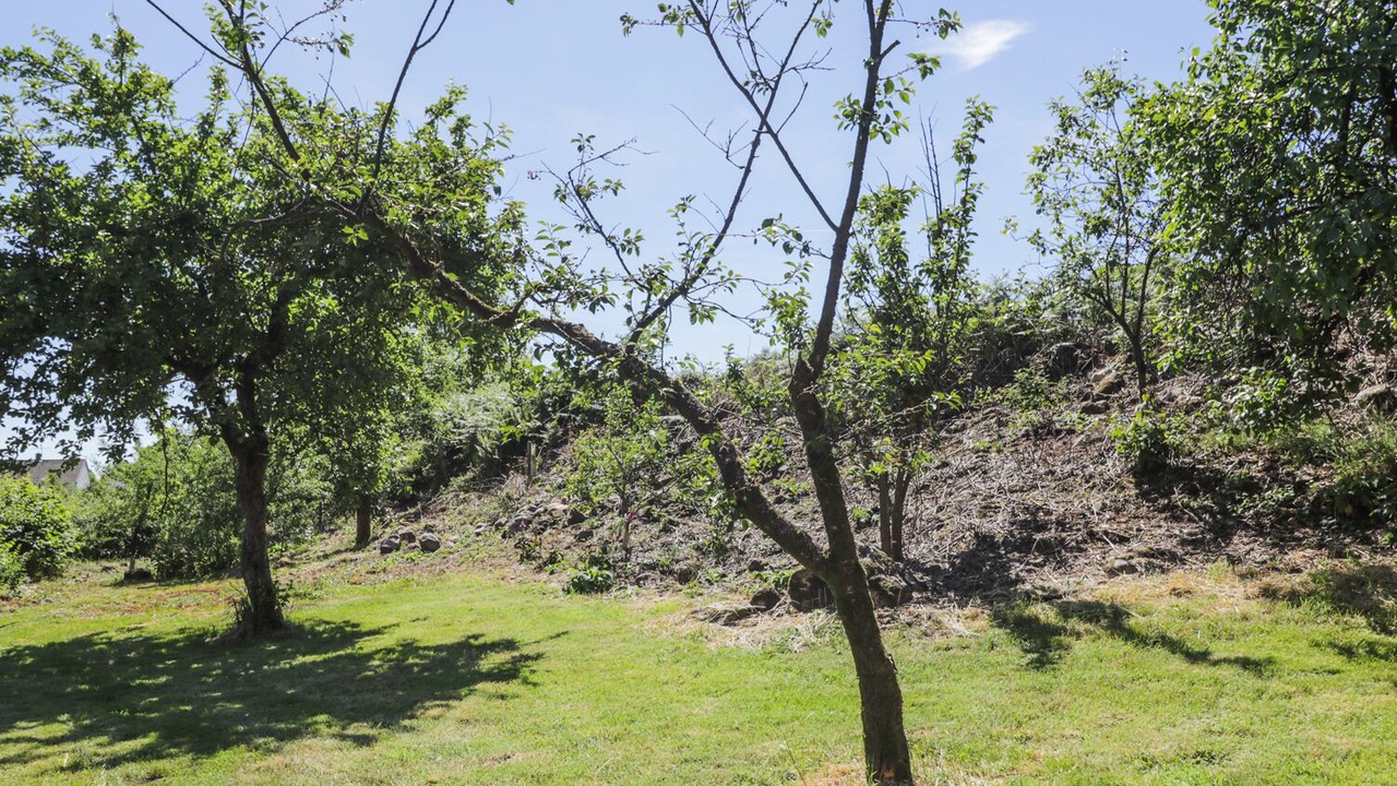 Photo of Others in Seascale