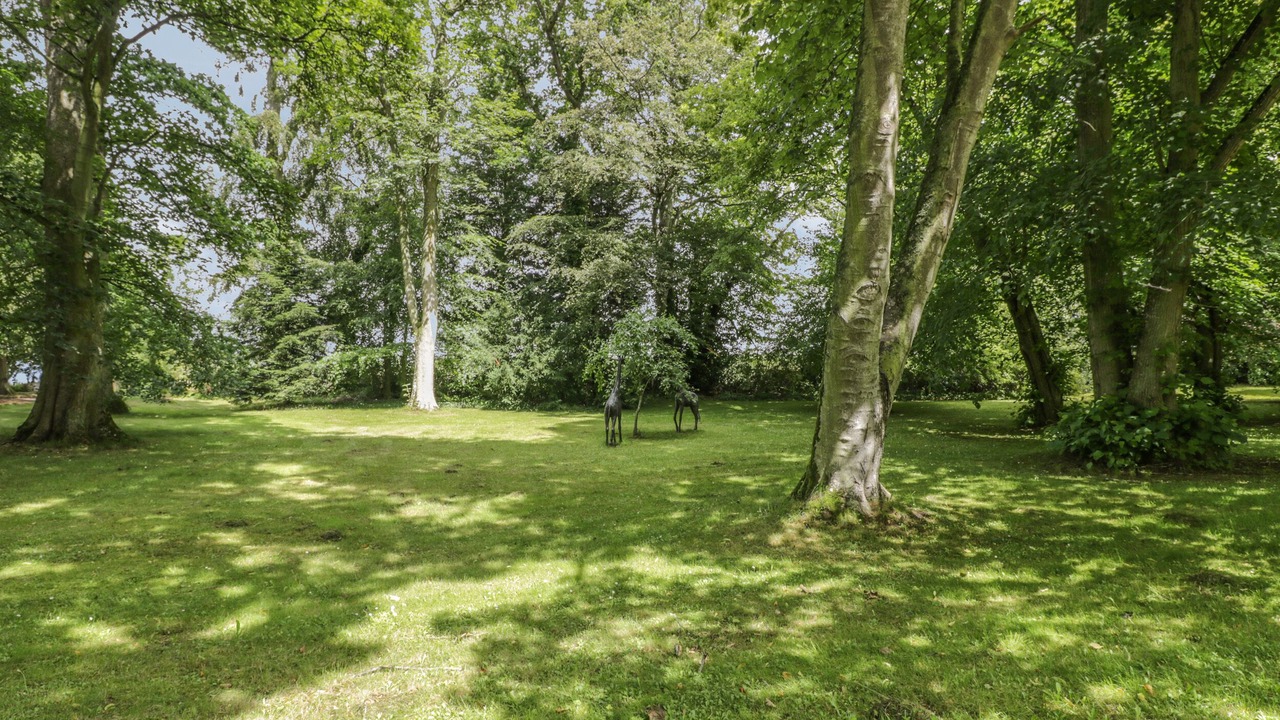 Photo of Others in Duns