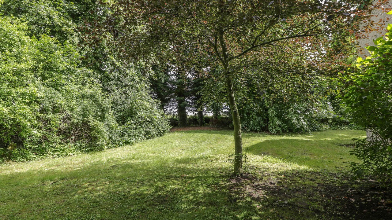 Photo of Others in Duns