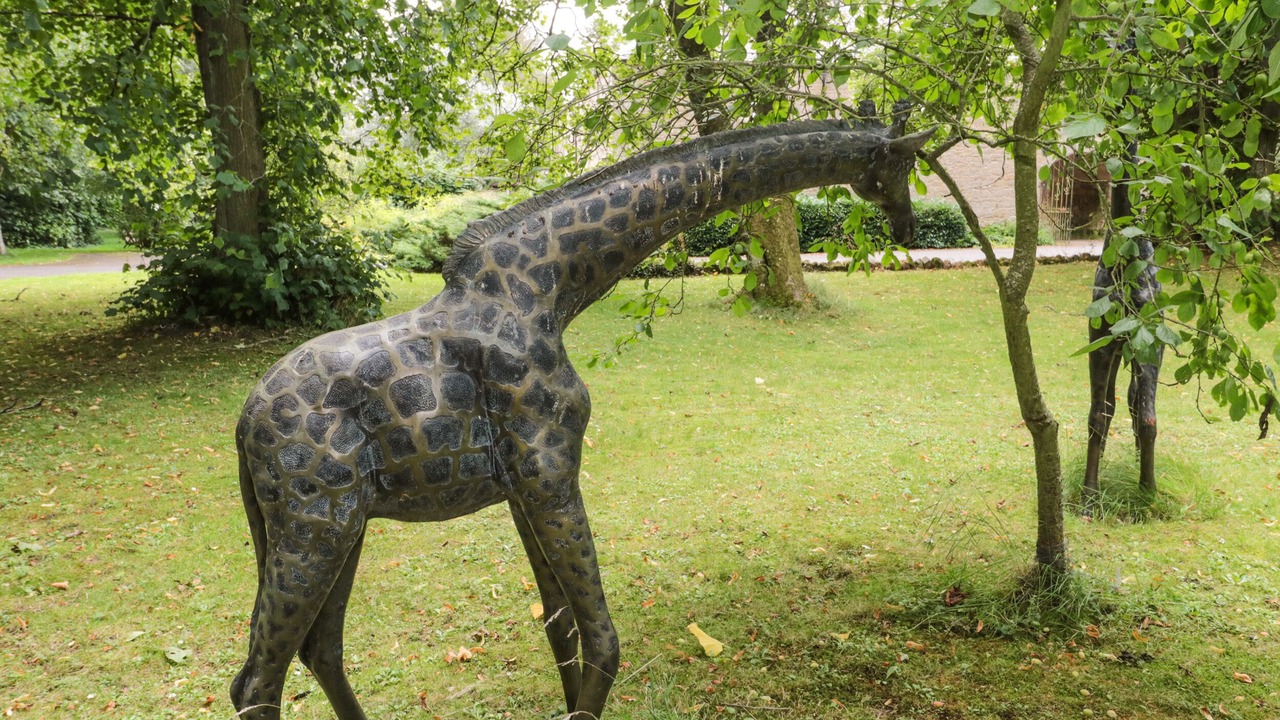 Photo of Others in Duns