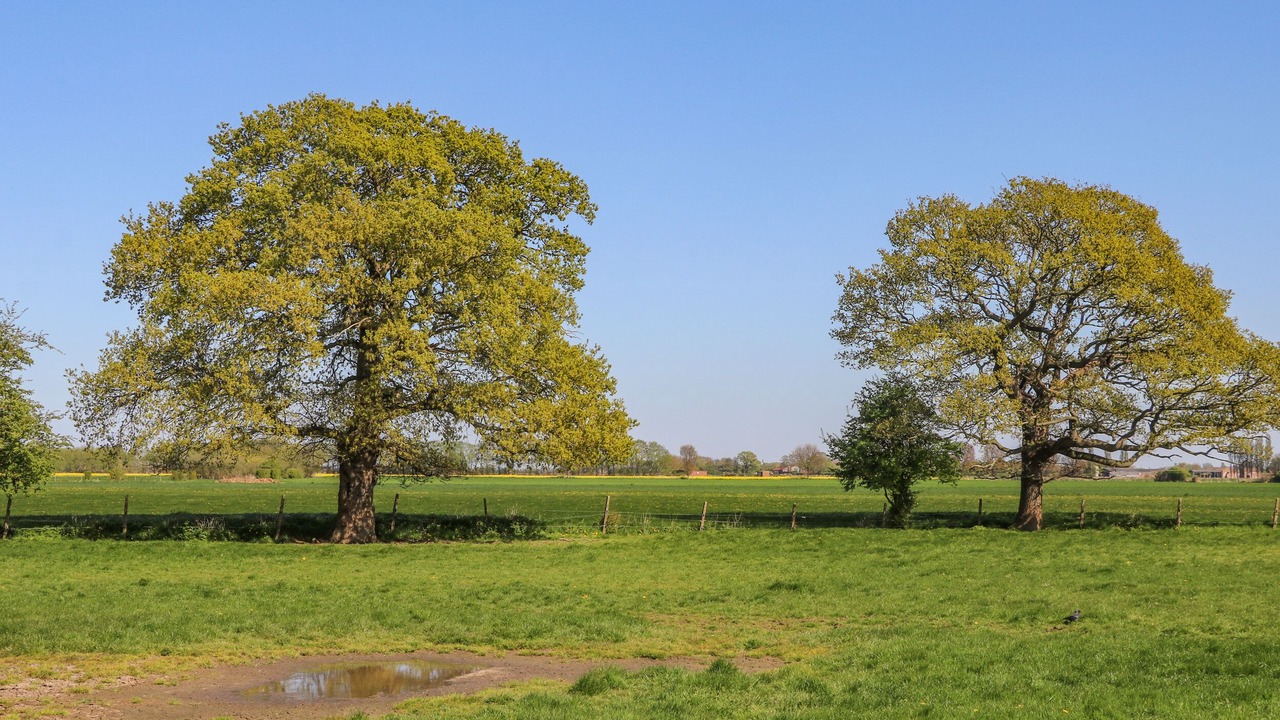 Photo of Others in Ryther