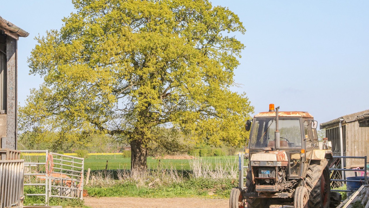 Photo of Others in Ryther