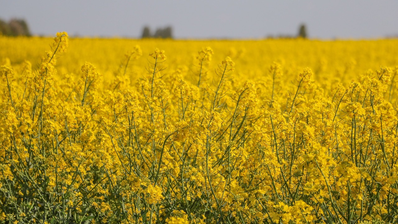 Photo of Others in Ryther