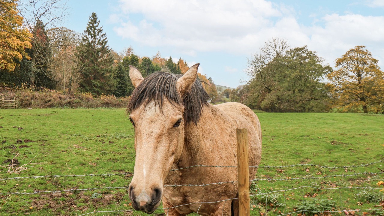 Photo of Others in Rosedale Abbey