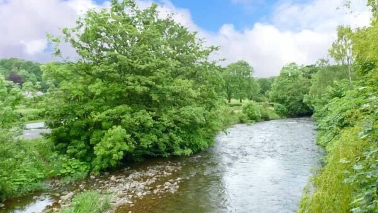 Photo of Others in Welton