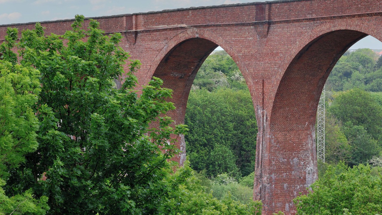 Photo of Others in Ruswarp