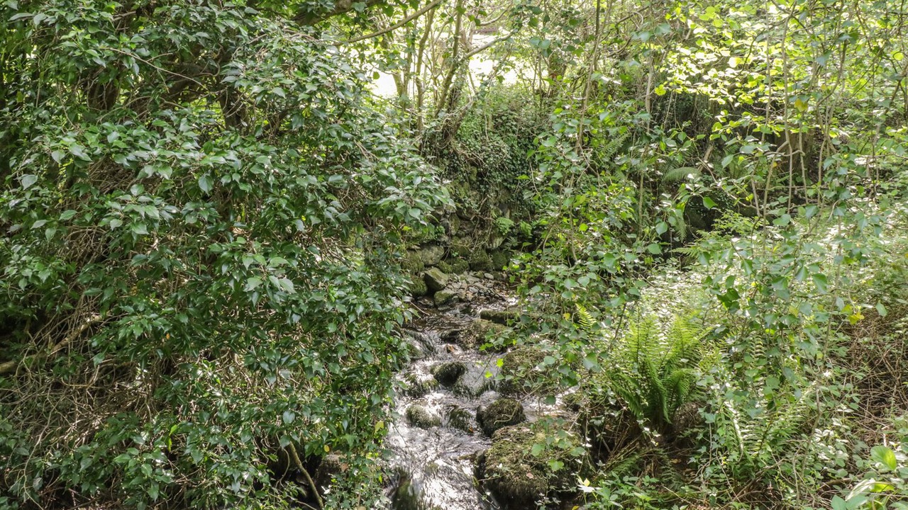 Photo of Others in Henryd