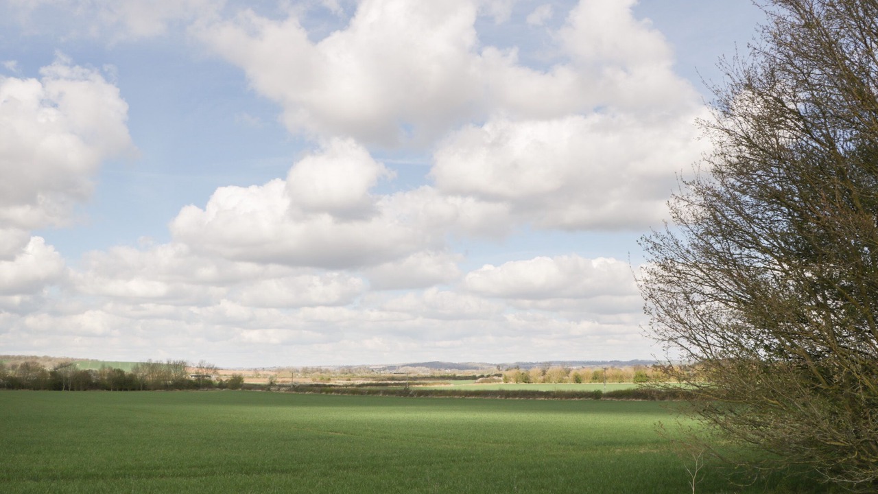 Photo of Others in Ardens Grafton