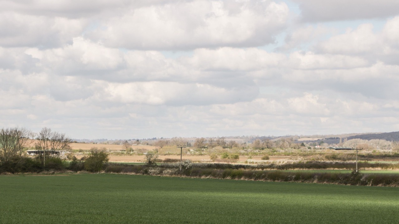 Photo of Others in Ardens Grafton