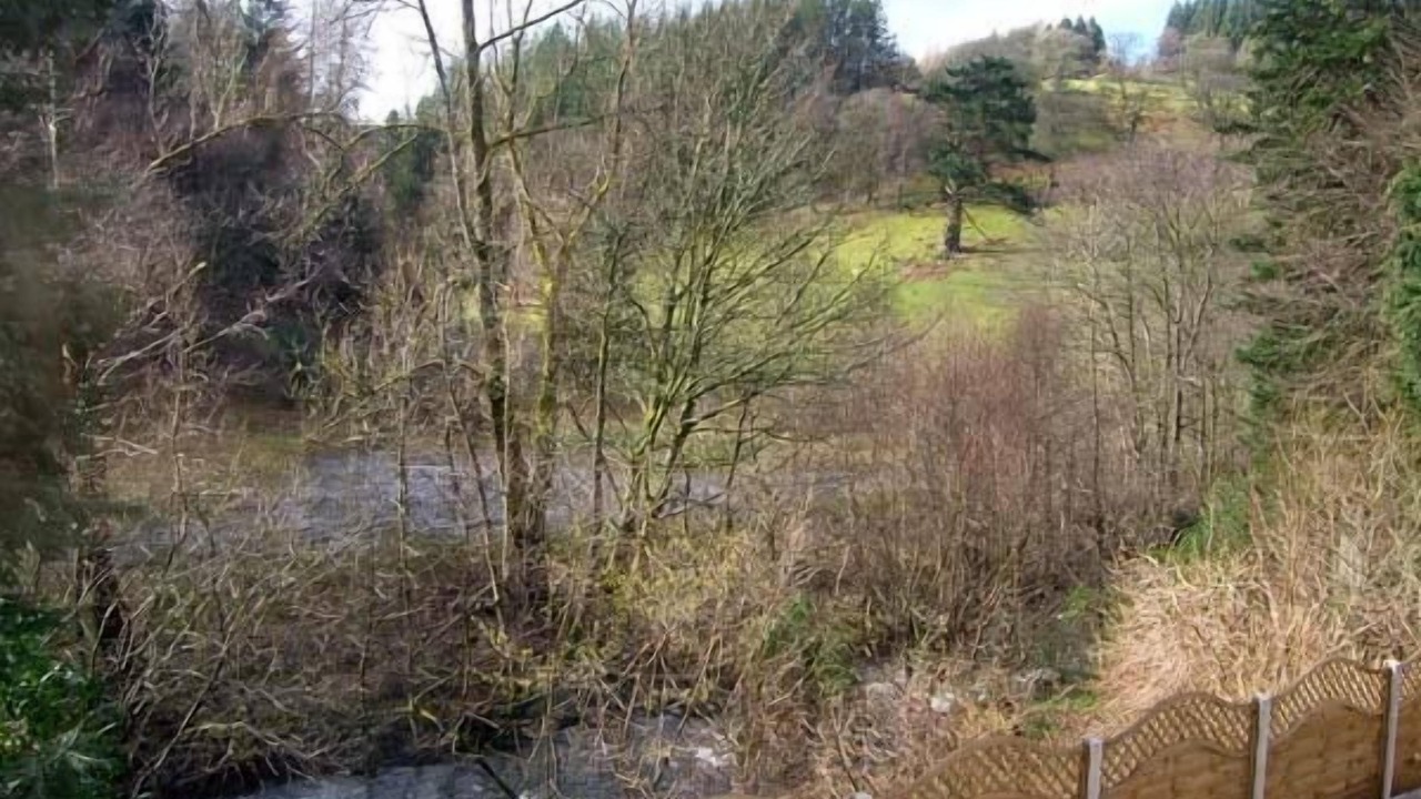 Photo of Others in Bala