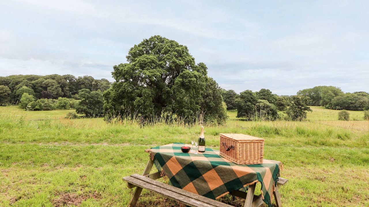 Photo of Others in Wrexham