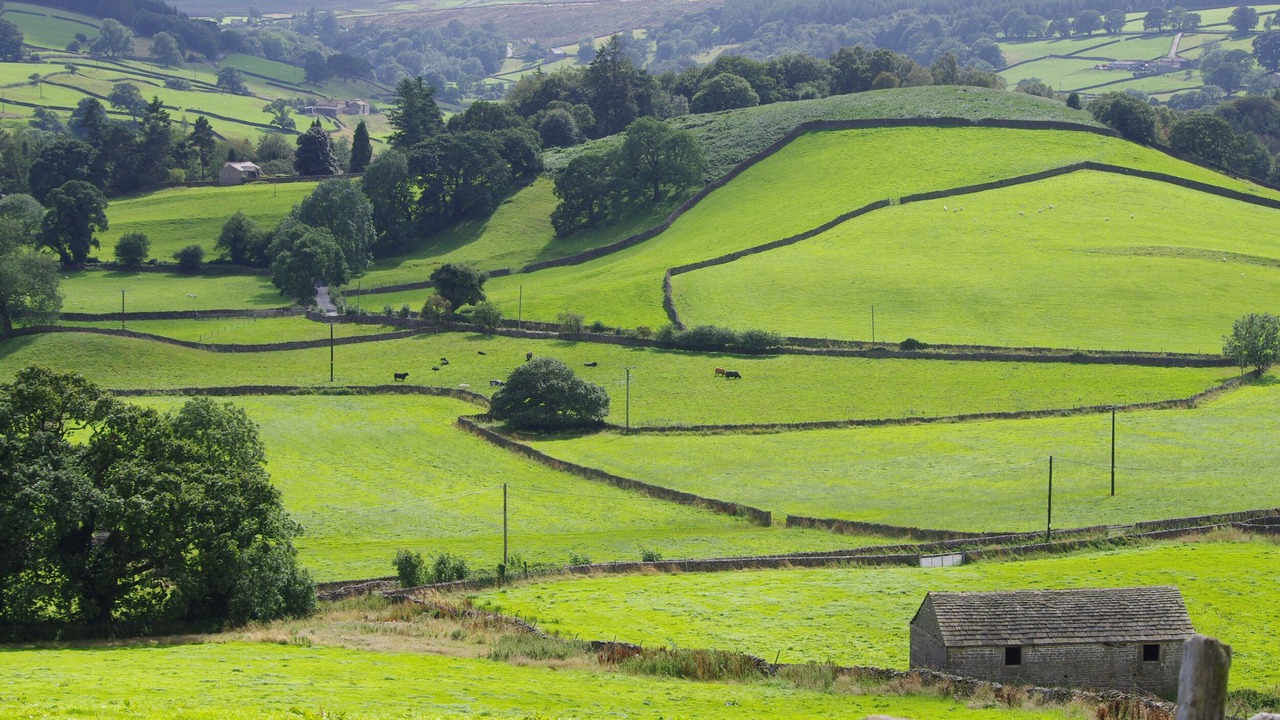 Photo of Others in Appletreewick