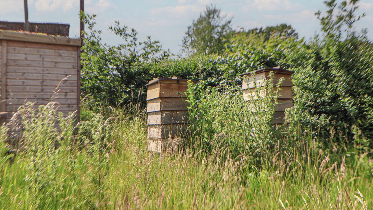 Photo of Others in Wrexham