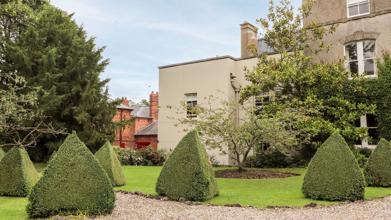 Photo of Others in Wrexham