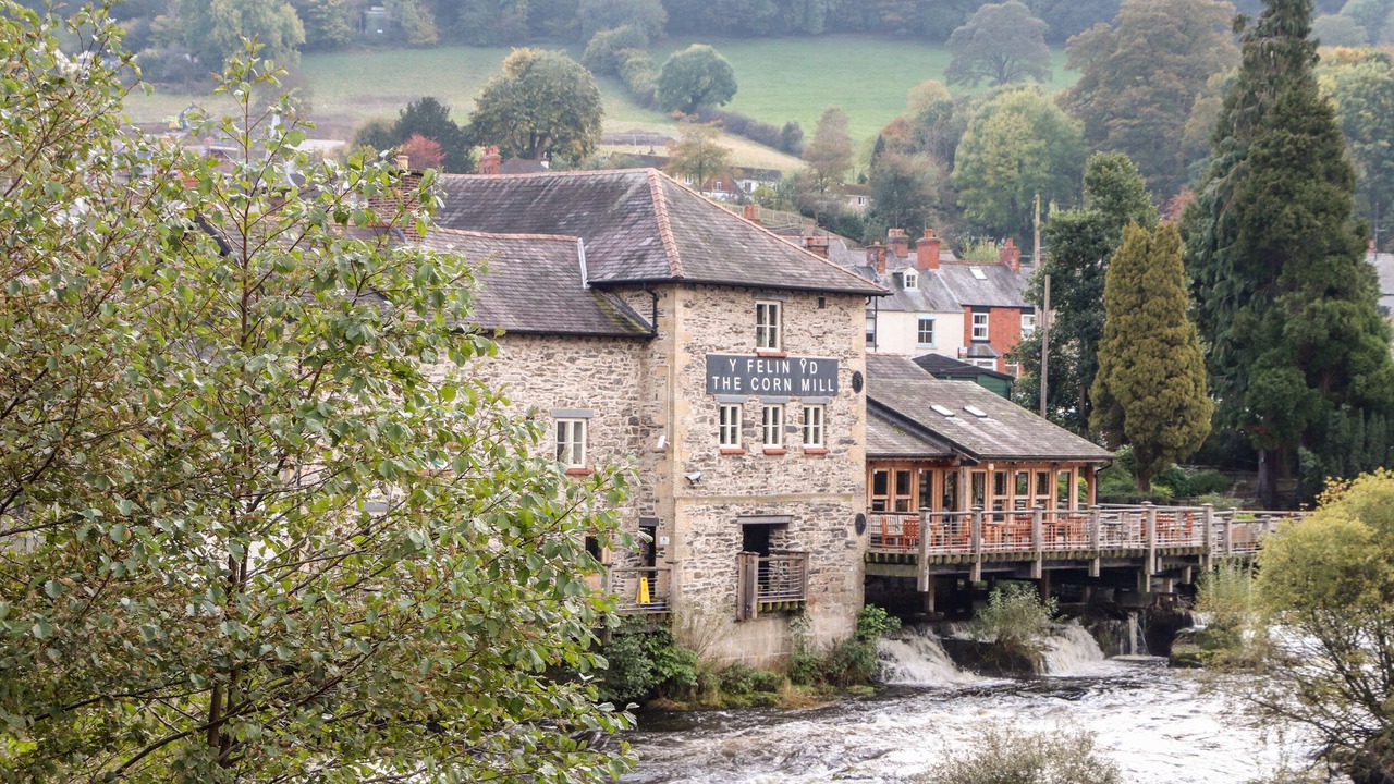 Photo of Others in Wrexham