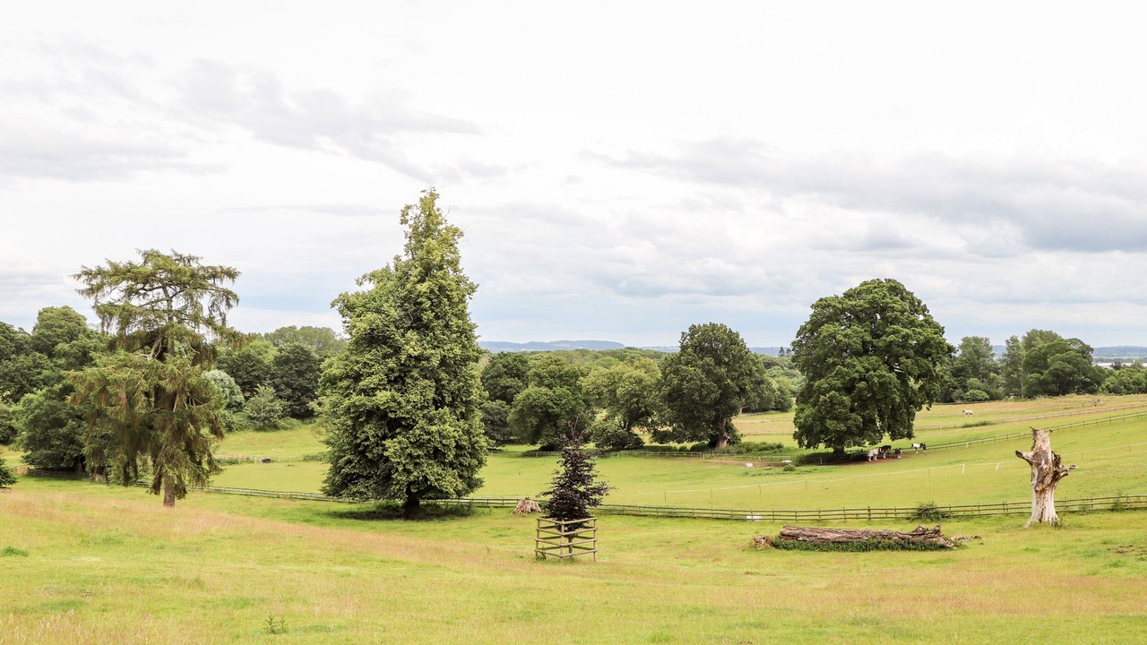 Photo of Others in Wrexham