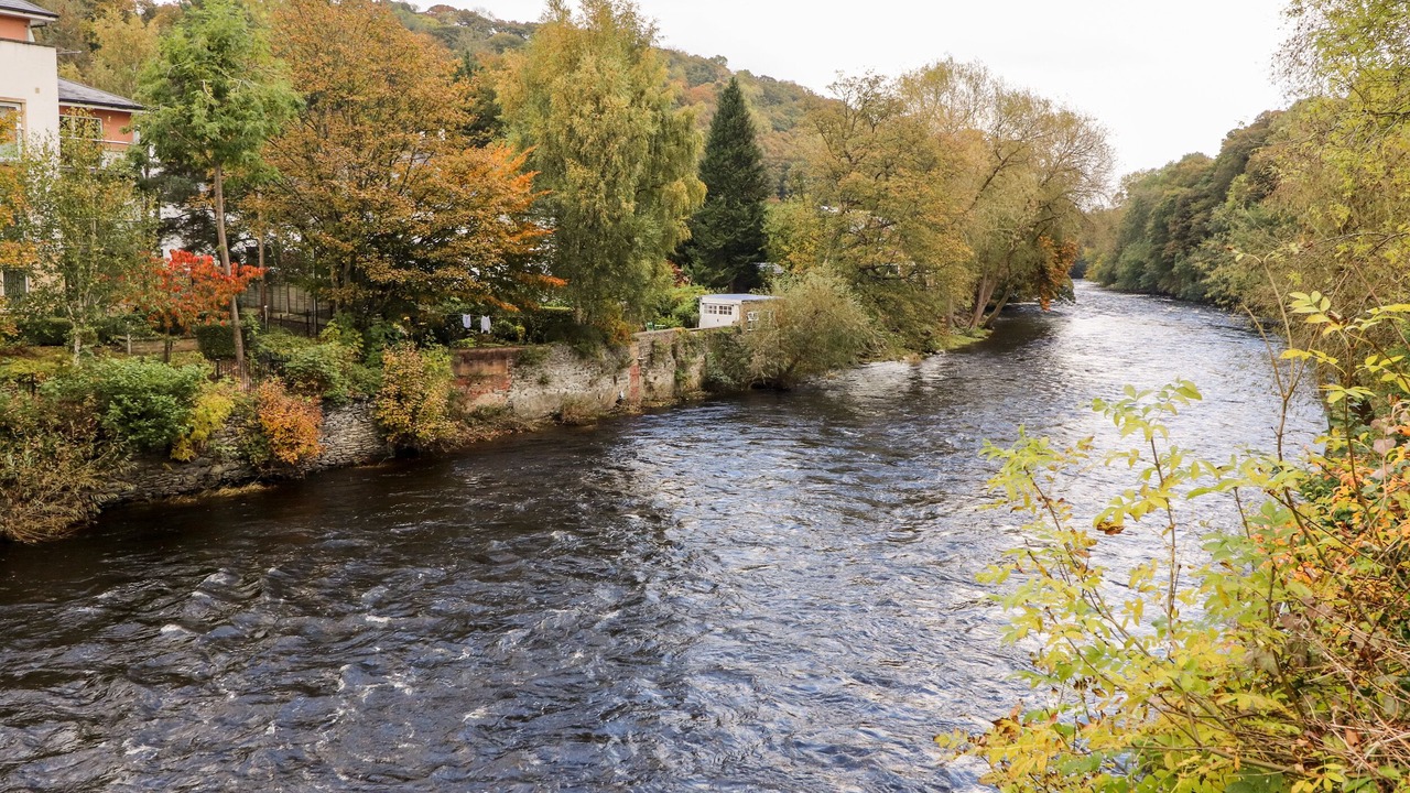 Photo of Others in Wrexham