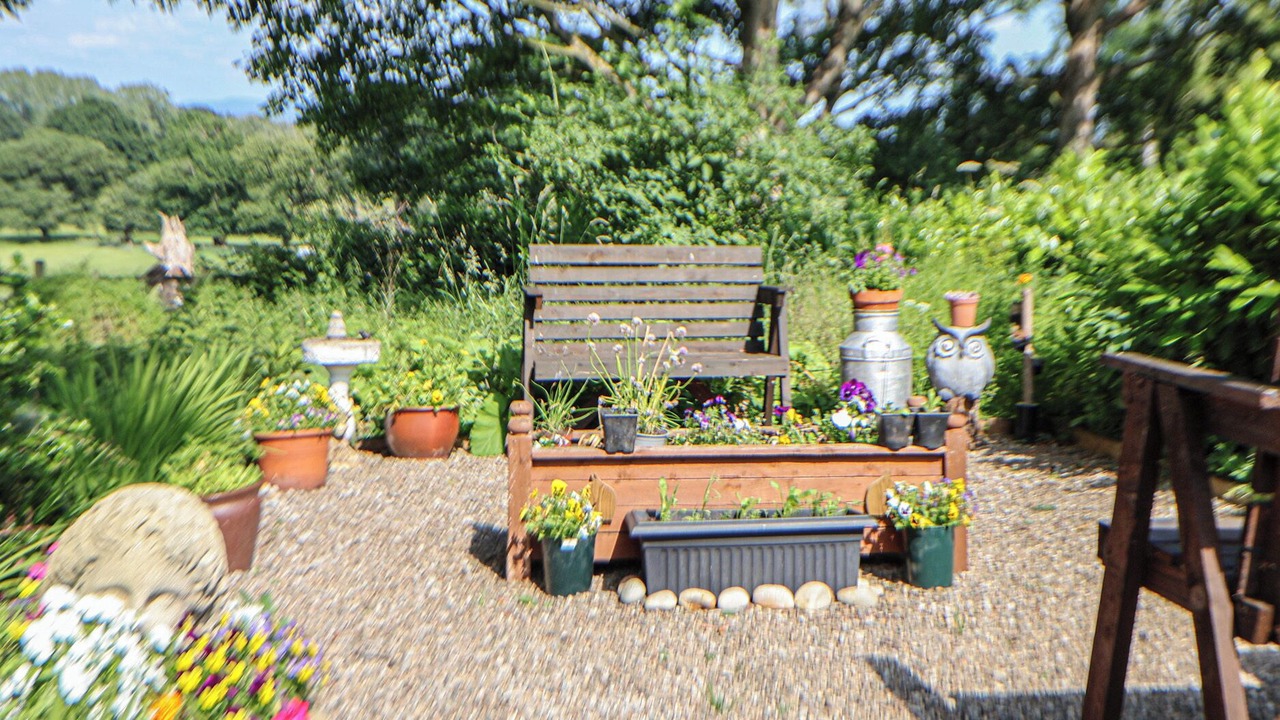 Photo of Others in Wrexham