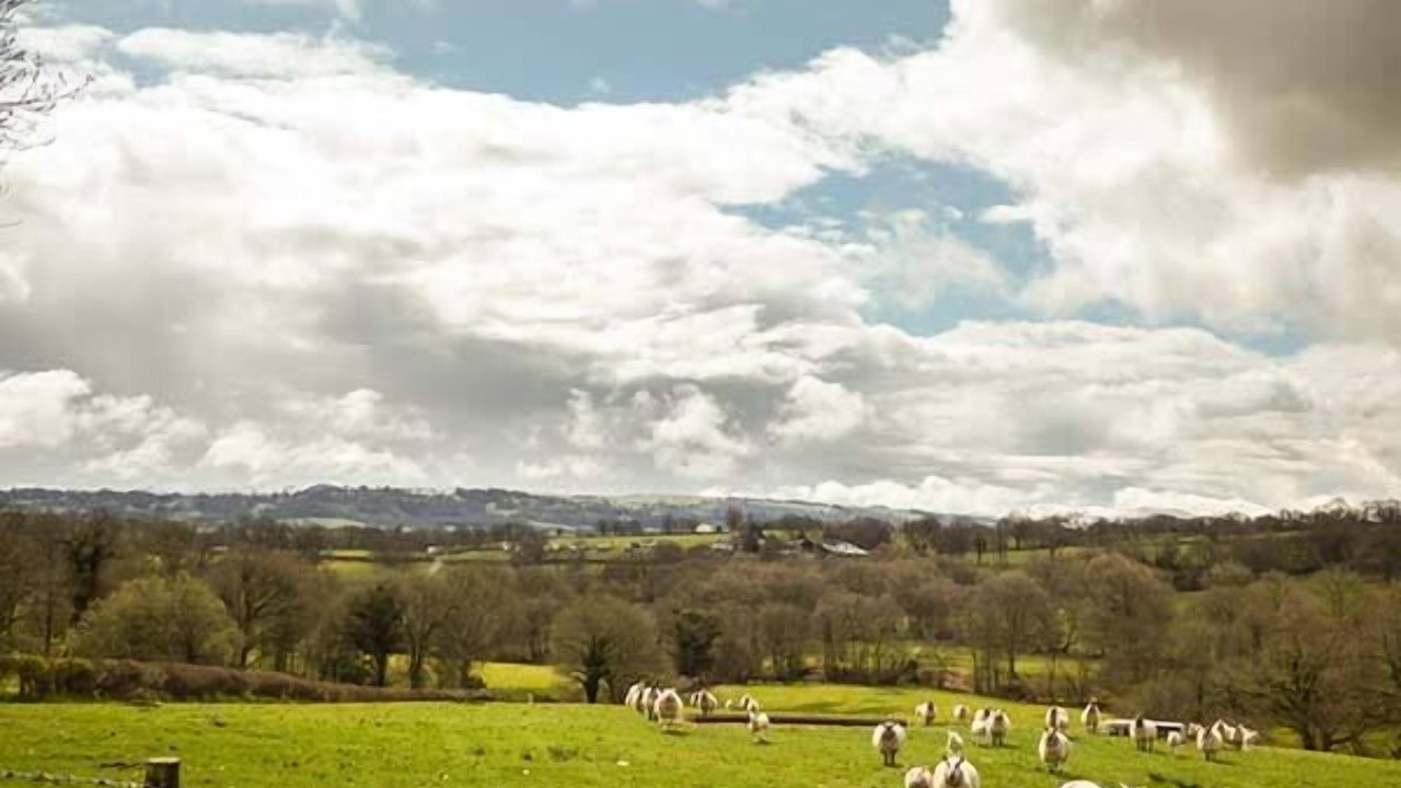 Photo of Others in Llandrindod Wells