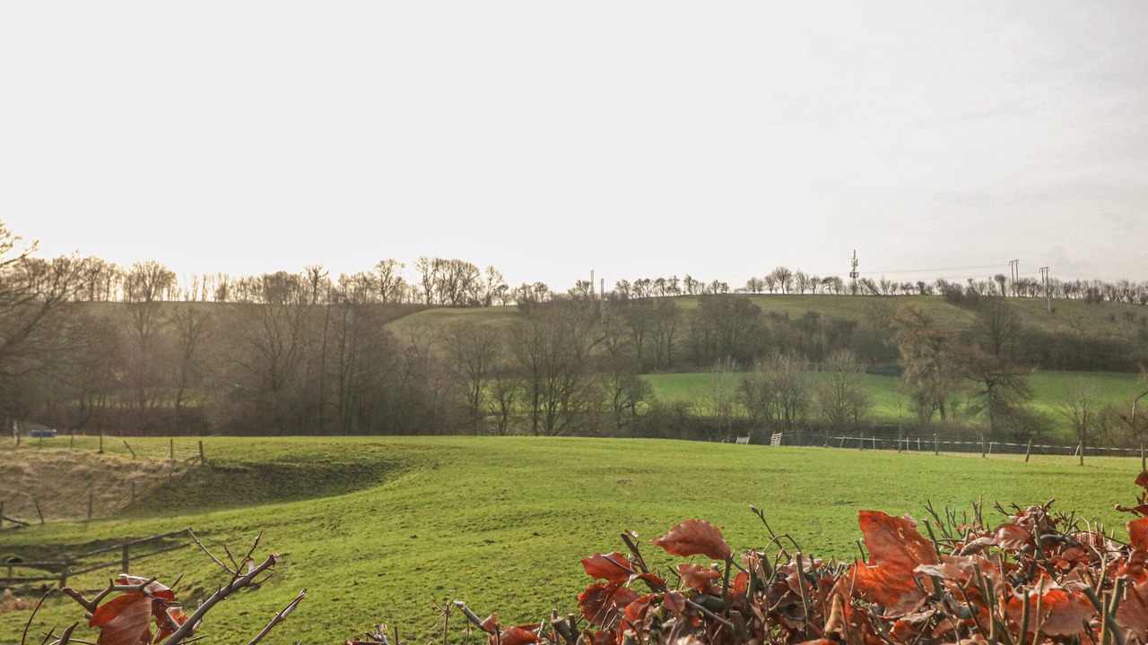 Photo of Others in Hope