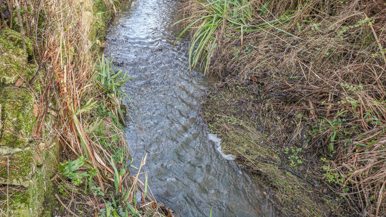 Photo of Others in Hope