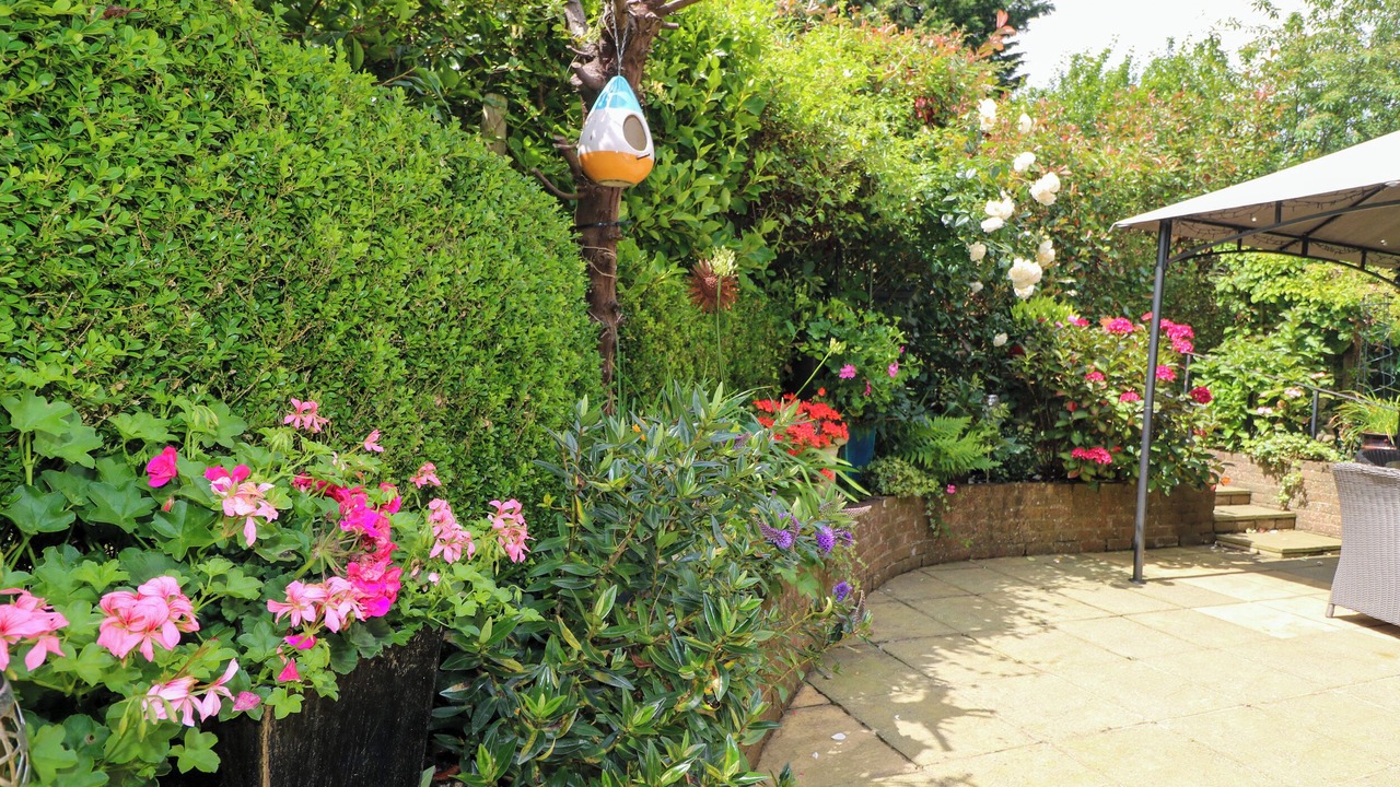 Photo of Others in Fontwell