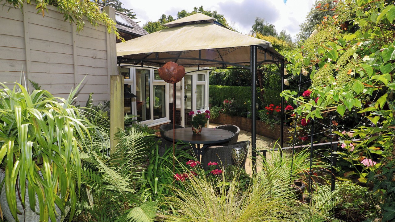 Photo of Others in Fontwell