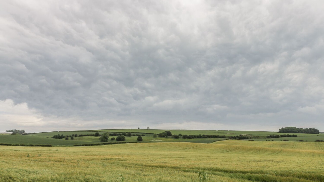 Photo of Others in Buckton