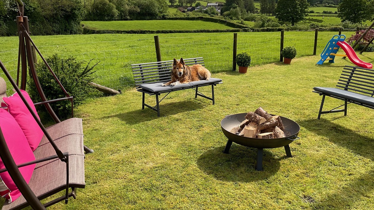 Photo of Others in Lampeter