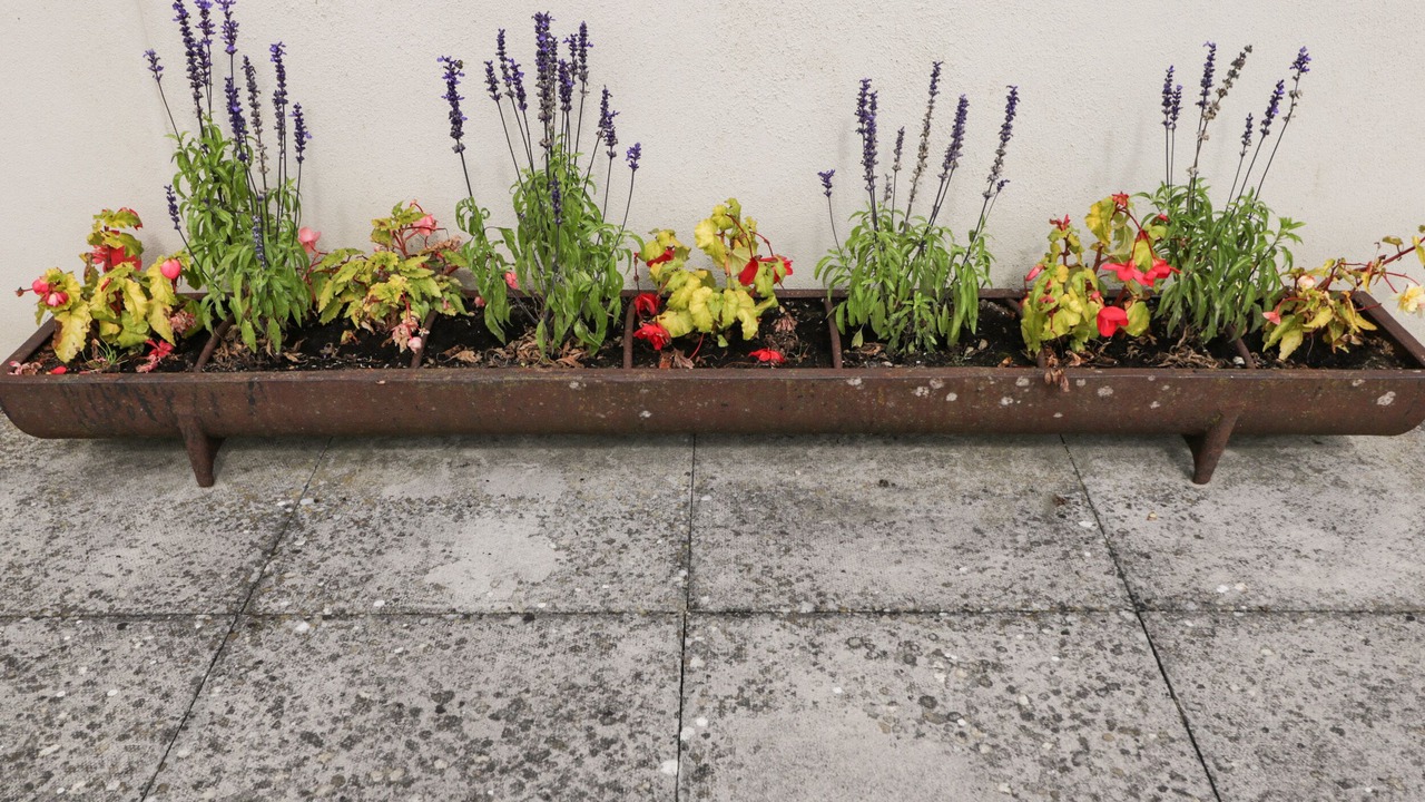 Photo of Outdoor in Hook