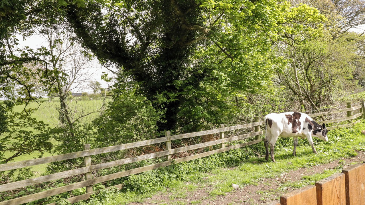 Photo of Others in Wigton