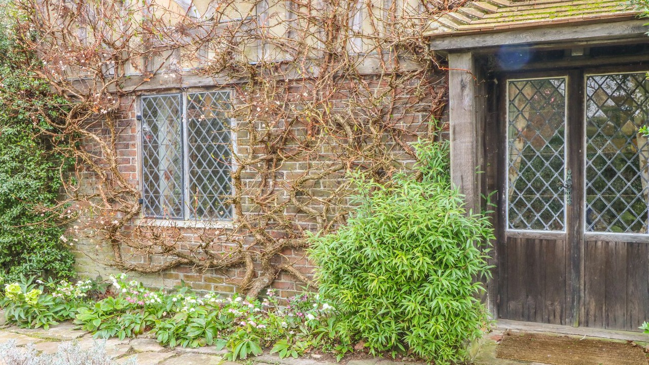 Photo of Others in Chiddingstone Hoath