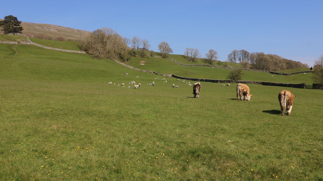 Photo of Others in Appersett