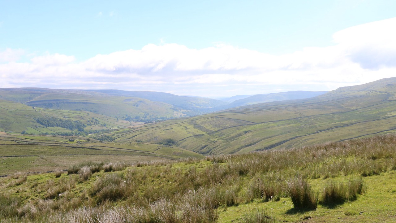 Photo of Others in Appersett