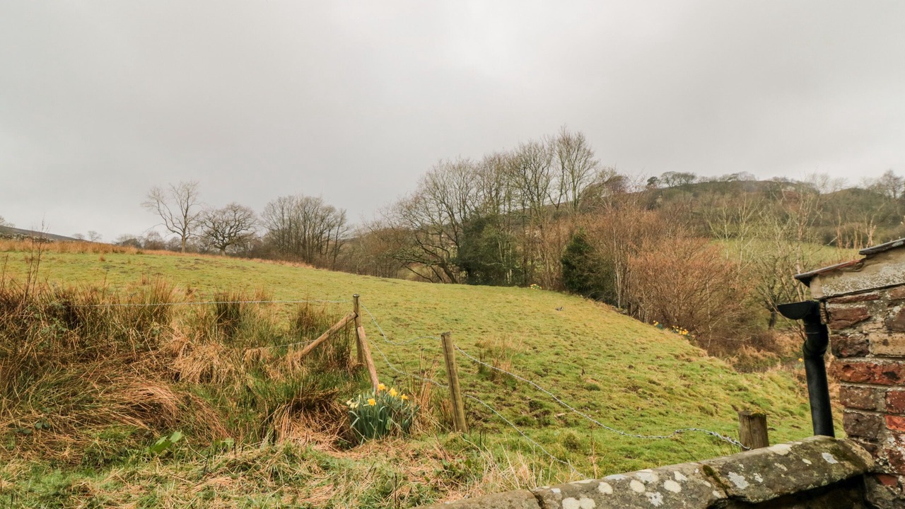 Photo of Others in North York Moors National Park
